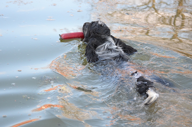 21-Erik vyzkoušeli teplotu vody..JPG